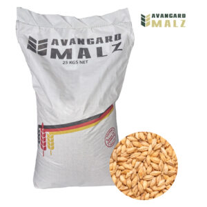 Malto d'orzo Avangard Pale Ale 25kg